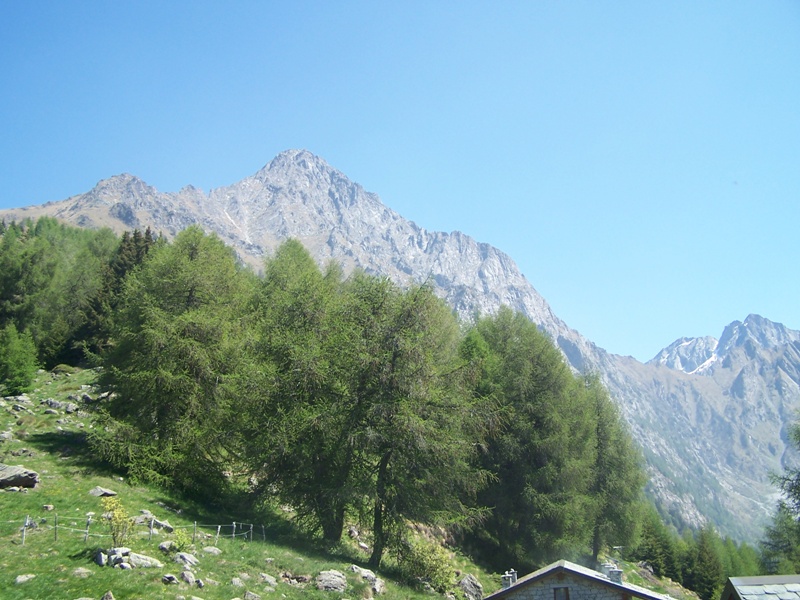 panorama da Malga Stain